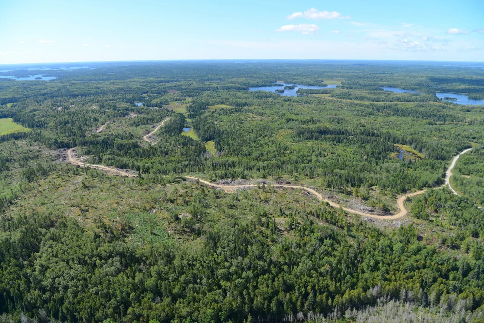 Panoramic aerial view of Cameron Lake gold district with lakes and boreal forest